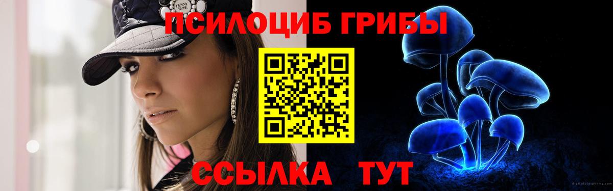 Псилоцибиновые грибы Magic Shrooms  Вход с VPN  Гусиноозёрск 